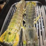 jumbo Mantis Shrimp Live Seafood Shipped with Oxygen Packs photo review
