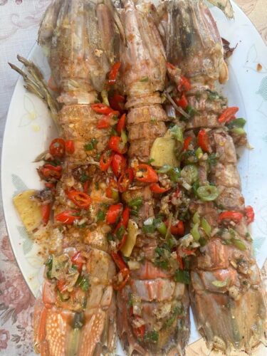 jumbo Mantis Shrimp Live Seafood Shipped with Oxygen Packs photo review