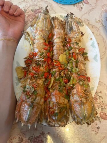 jumbo Mantis Shrimp Live Seafood Shipped with Oxygen Packs photo review
