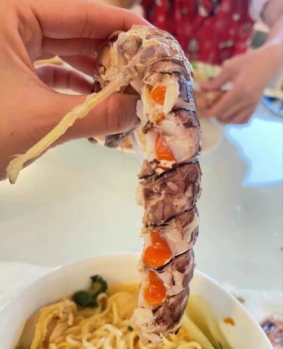 jumbo Mantis Shrimp Live Seafood Shipped with Oxygen Packs photo review