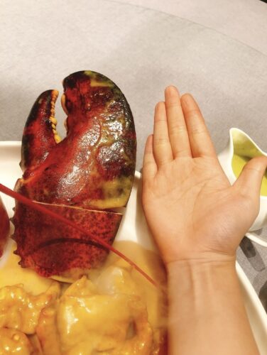 LIMITED EDITION: Giant Deep-Sea Lobster Pincers 🔥 Hurry up! photo review